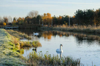 Walk photo
