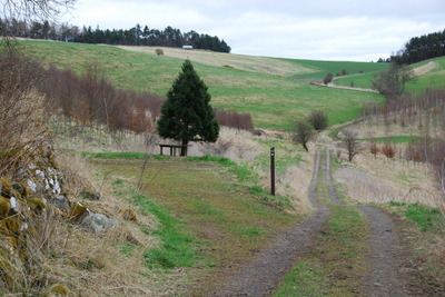 Walk photo