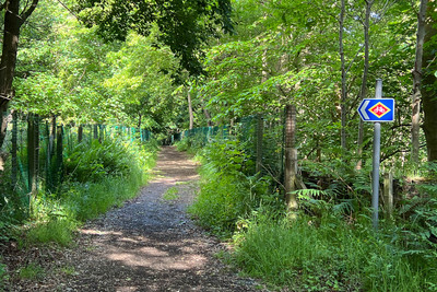 Walk photo