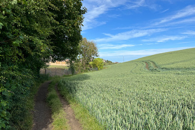 Walk photo