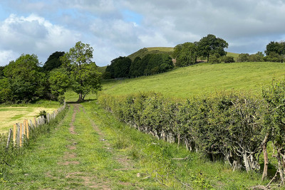 Walk photo