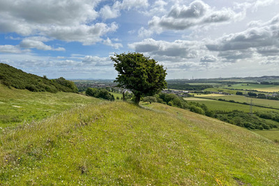 Walk photo