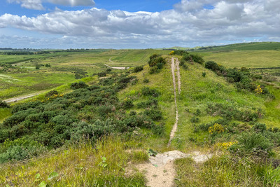 Walk photo