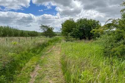 Walk photo