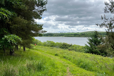 Walk photo