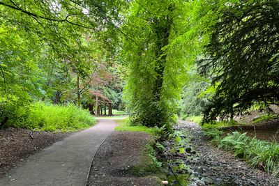 Walk photo