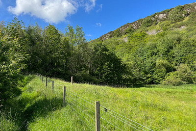 Walk photo