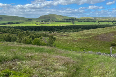 Walk photo