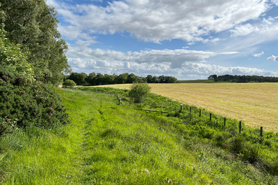 Walk photo