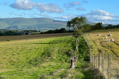Walk photo