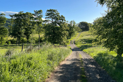 Walk photo