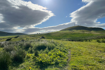 Walk photo