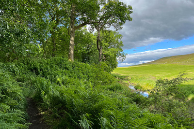 Walk photo