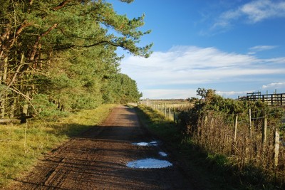 Walk photo