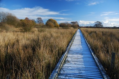 Walk photo