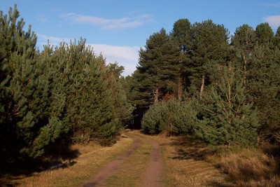 Walk photo
