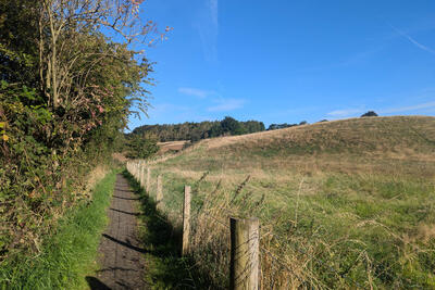 Walk photo