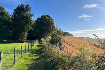 Walk photo