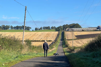 Walk photo