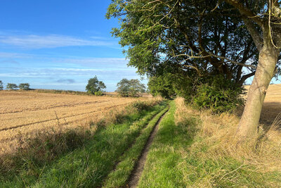 Walk photo