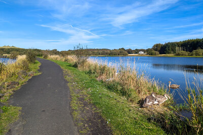Fife Pilgrim Way: 2 Dunfermline to Lochore Meadows