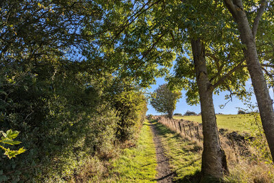 Walk photo