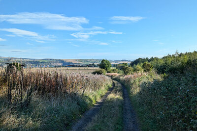 Fife Pilgrim Way: 3 Lochore Meadows to Kinglassie