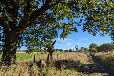 Walk photo