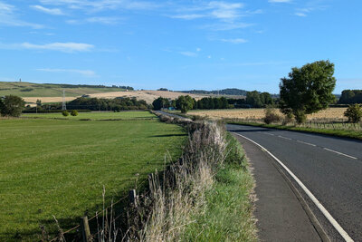 Walk photo