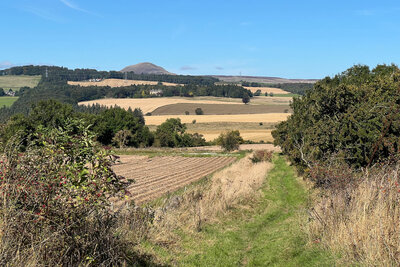 Walk photo