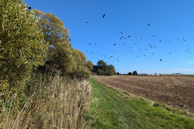Walk photo