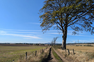 Walk photo