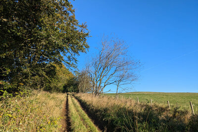 Walk photo