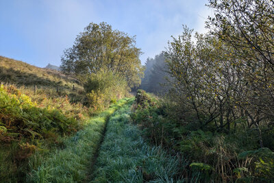 Walk photo