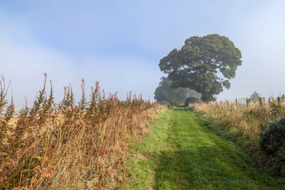 Walk photo