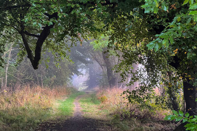 Walk photo