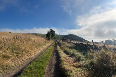Walk photo