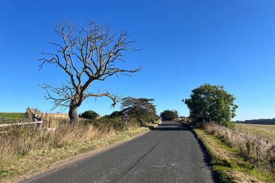 Walk photo