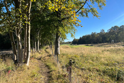 Walk photo