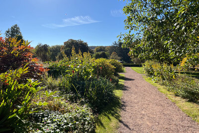 Walk photo