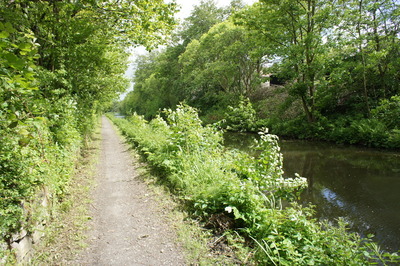Walk photo