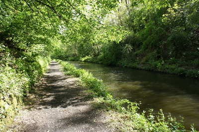 Walk photo
