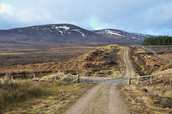 Beinn Tharsuinn (Ardross)