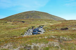 Meall a