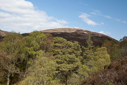 Meall a