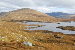 Mullwharchar