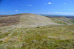 Bareback Knowe [Windlestraw Law SW Top]