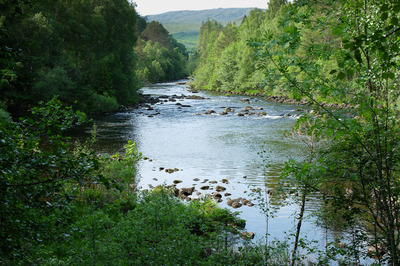 Walk photo