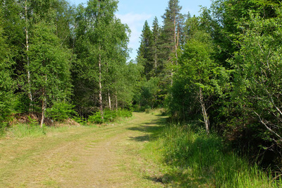 Walk photo