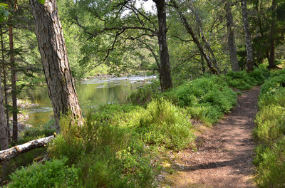 Walk photo